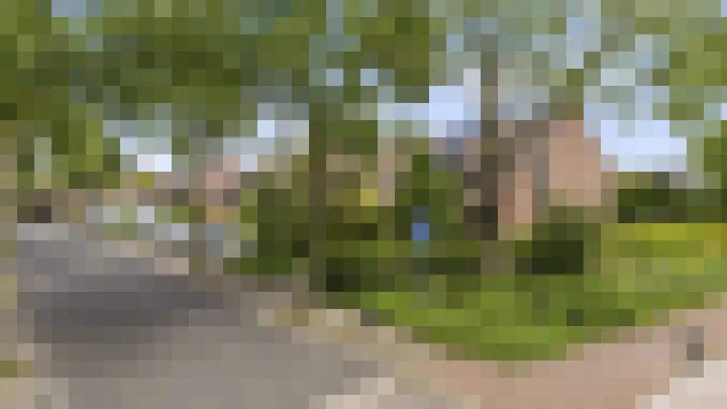 Strausslaan 59 Voorthuizen thumbnail 37