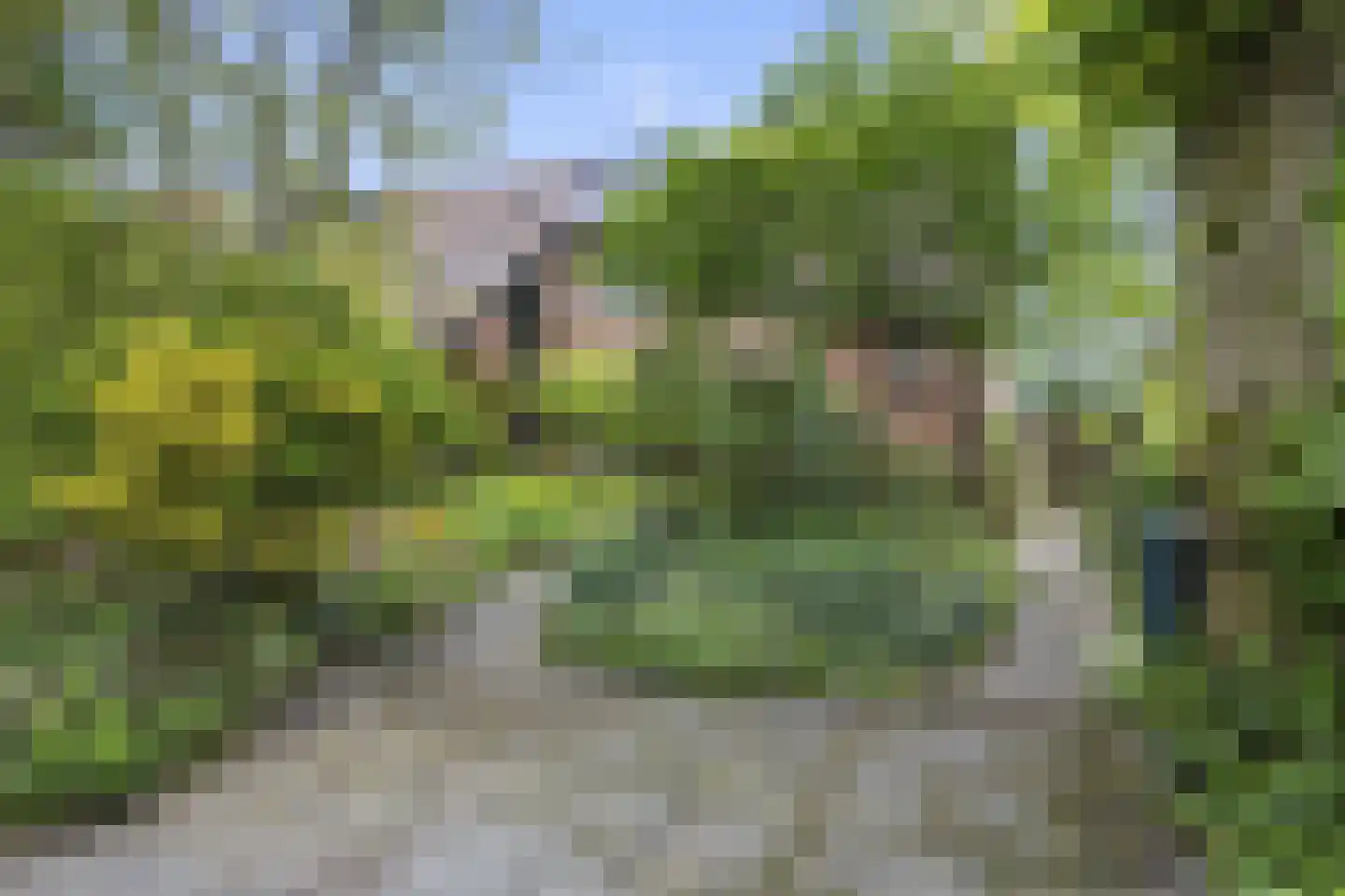 Strausslaan 59 Voorthuizen thumbnail 38