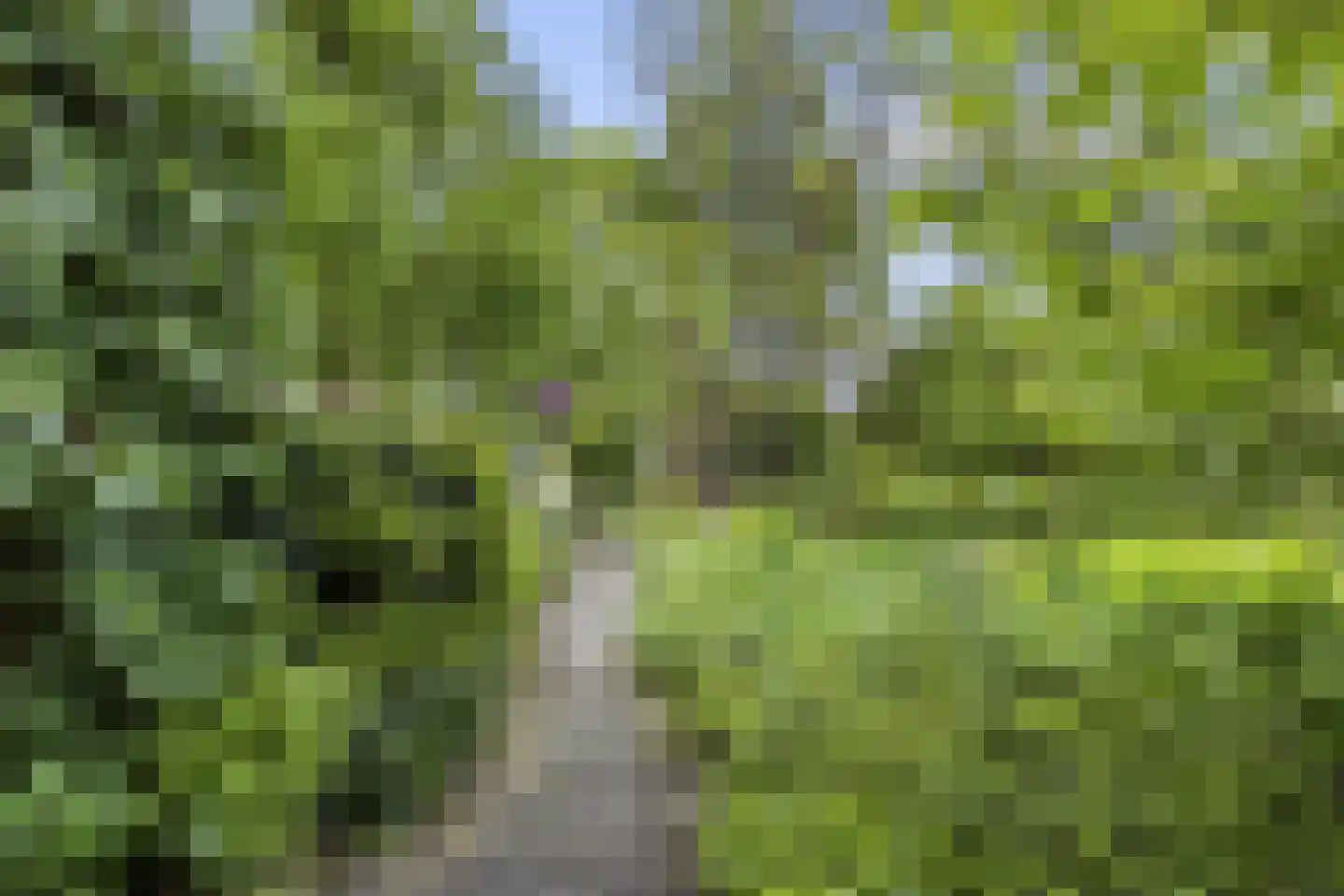 Strausslaan 59 Voorthuizen thumbnail 40