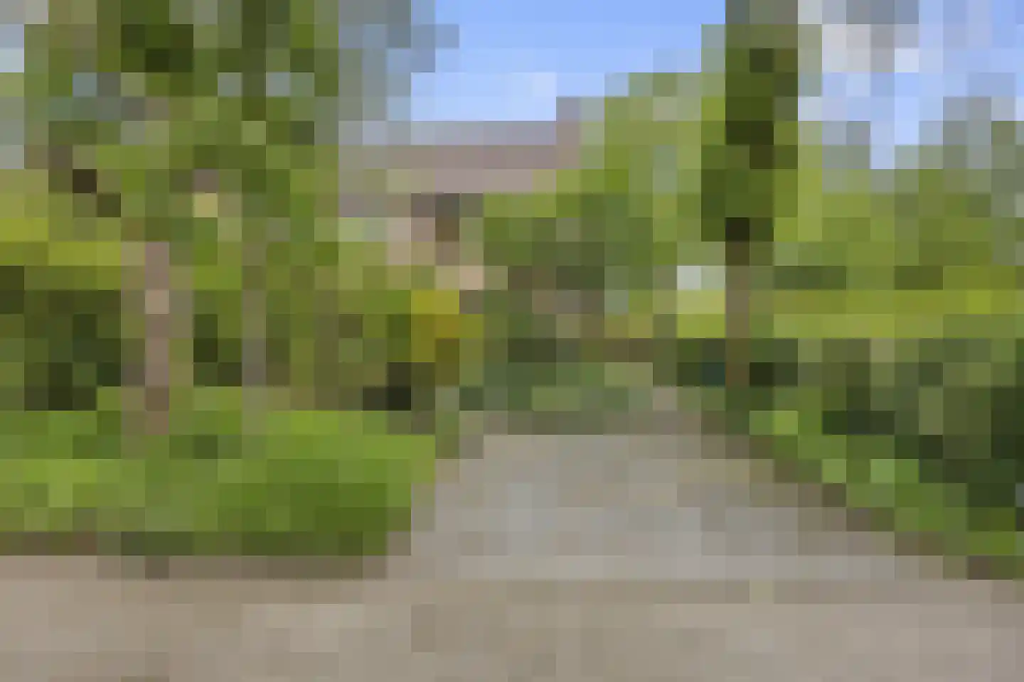 Strausslaan 59 Voorthuizen thumbnail 41