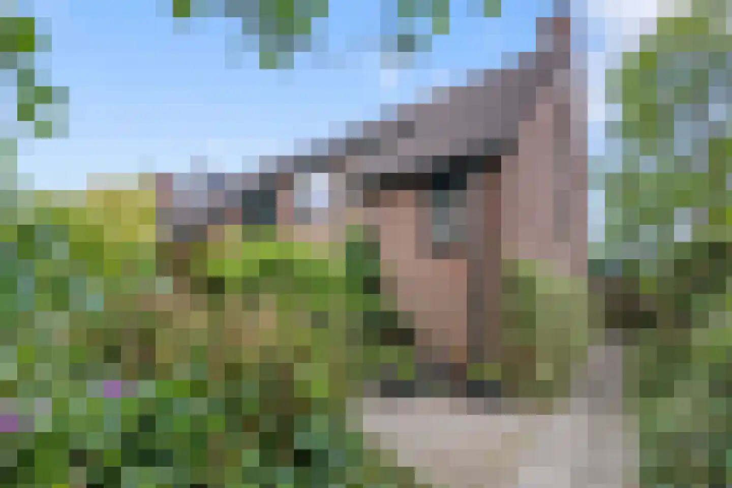 Strausslaan 59 Voorthuizen thumbnail 43