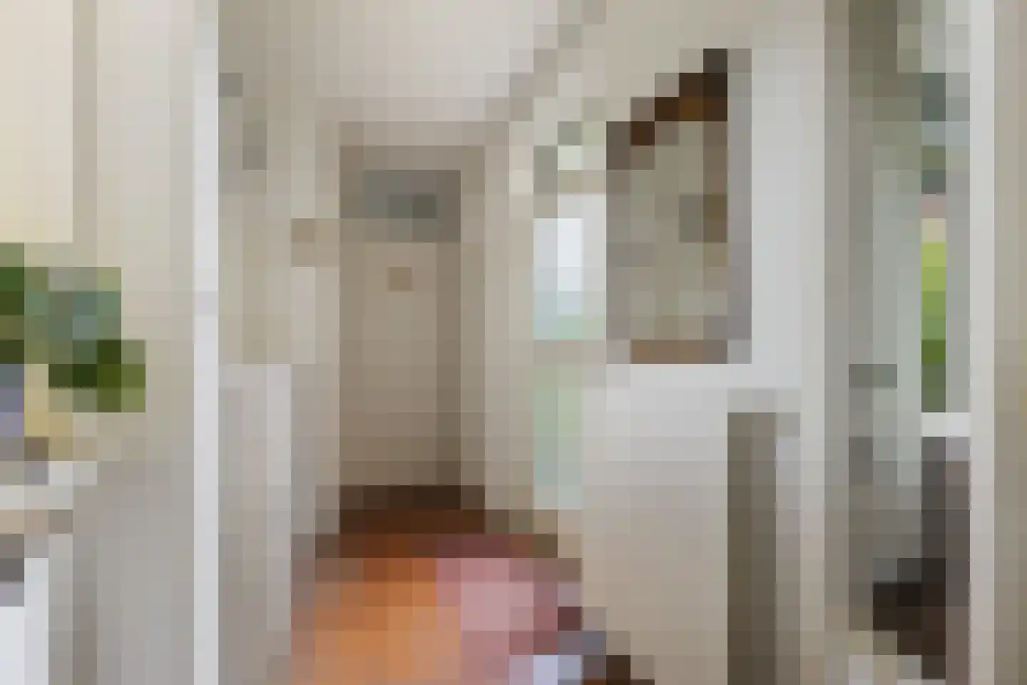 Strausslaan 59 Voorthuizen thumbnail 6