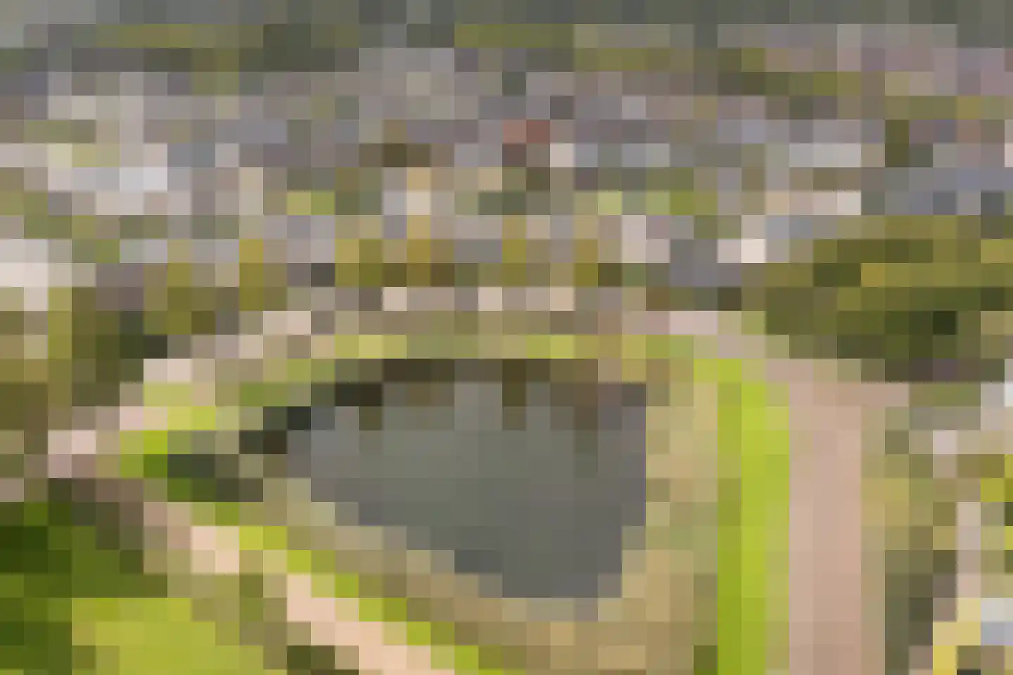 Strausslaan 68 Barendrecht thumbnail 31