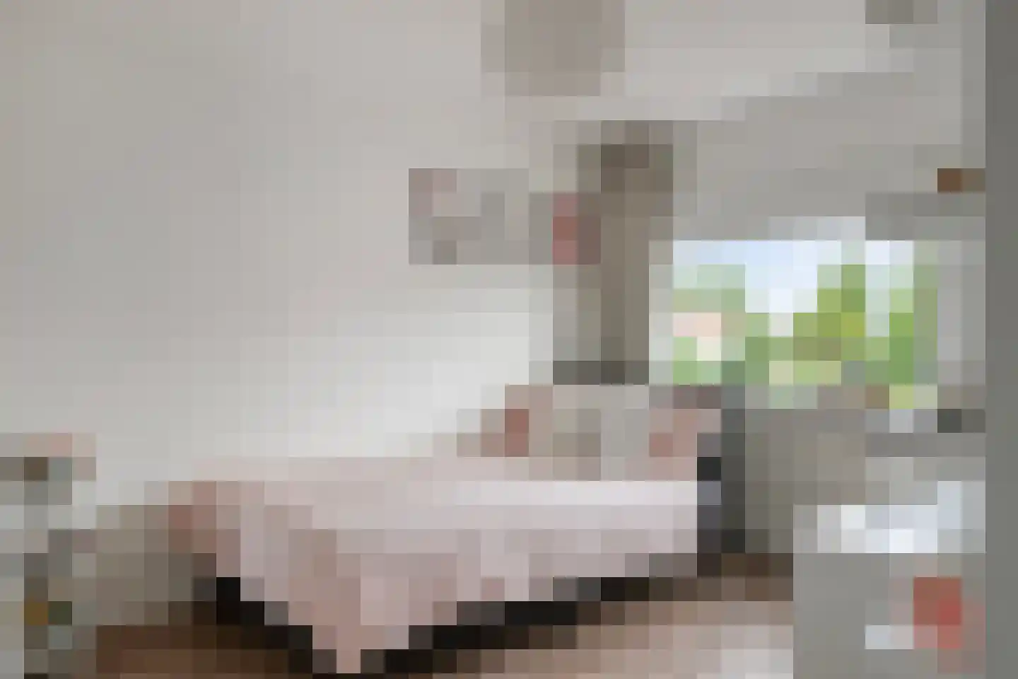 Strausslaan 75 Apeldoorn thumbnail 20