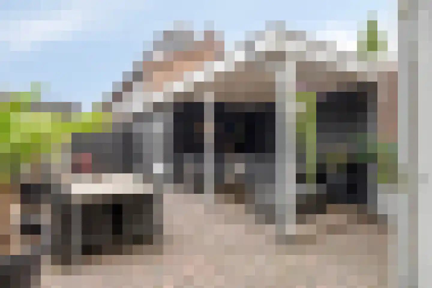 Strausslaan 75 Apeldoorn thumbnail 24