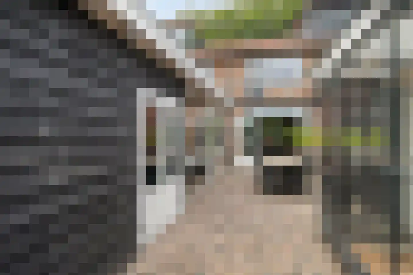 Strausslaan 75 Apeldoorn thumbnail 28
