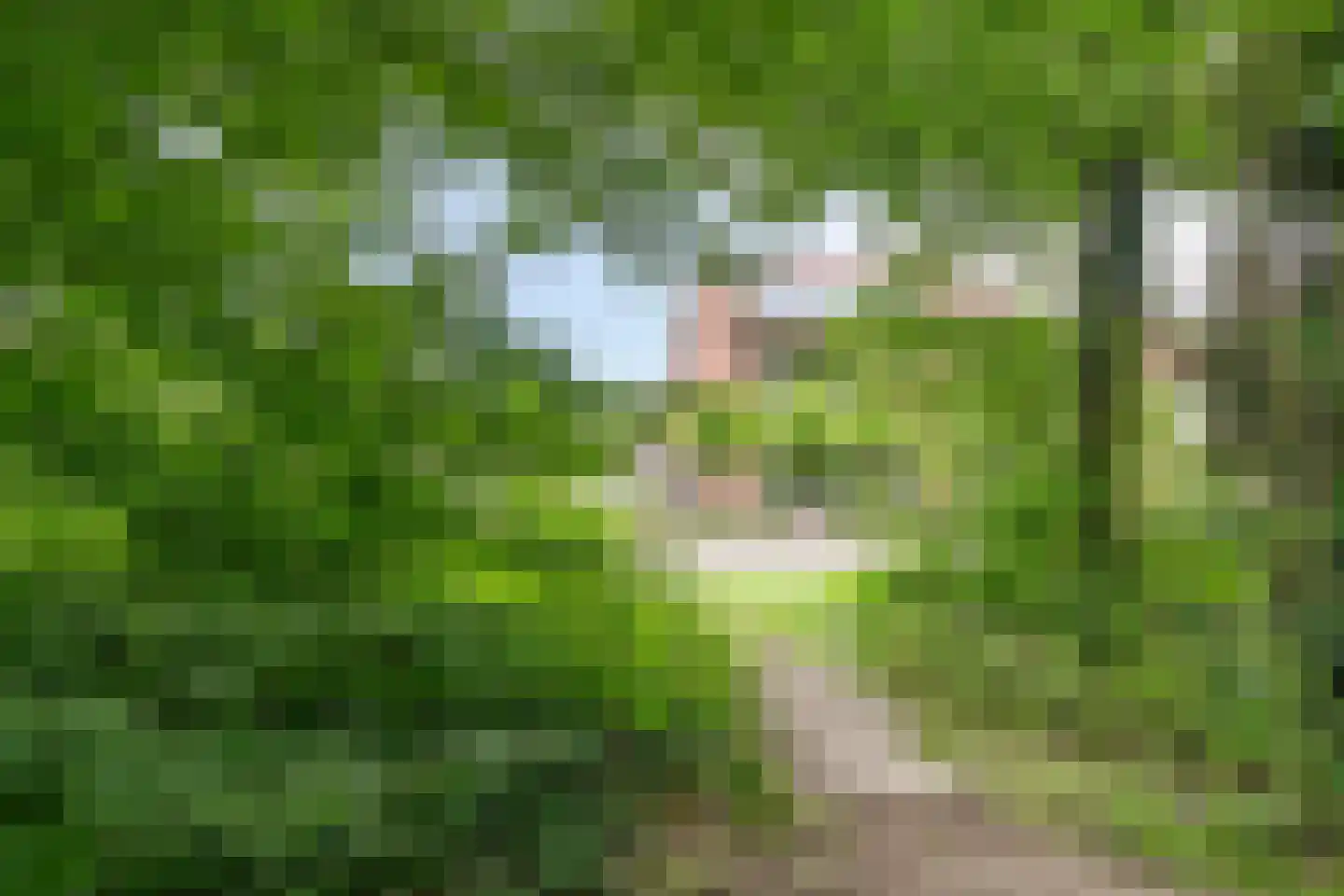 Strausslaan 75 Apeldoorn thumbnail 30