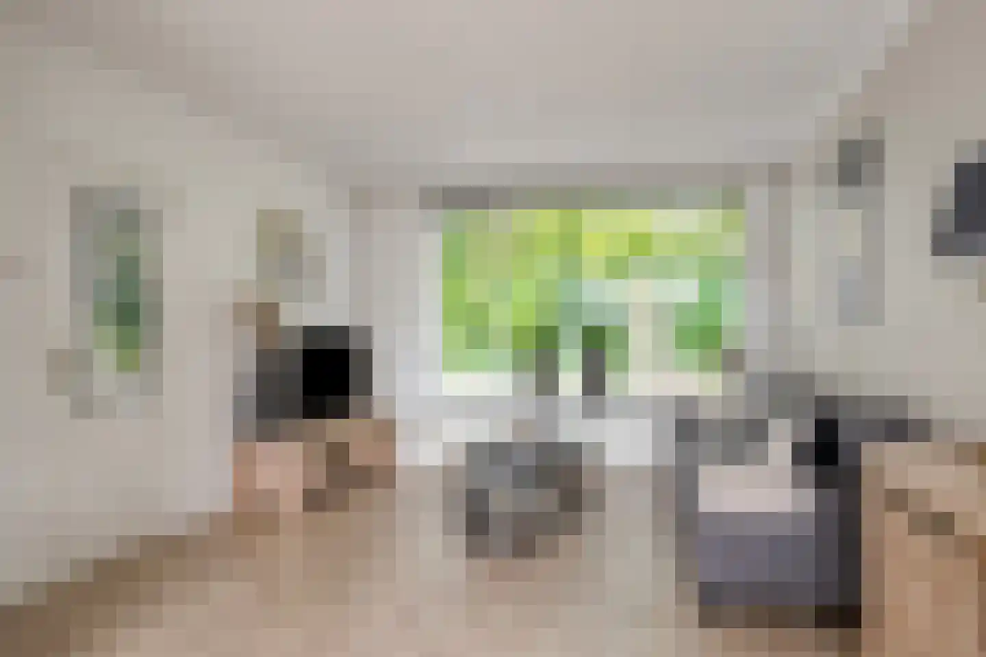 Strausslaan 75 Apeldoorn thumbnail 9