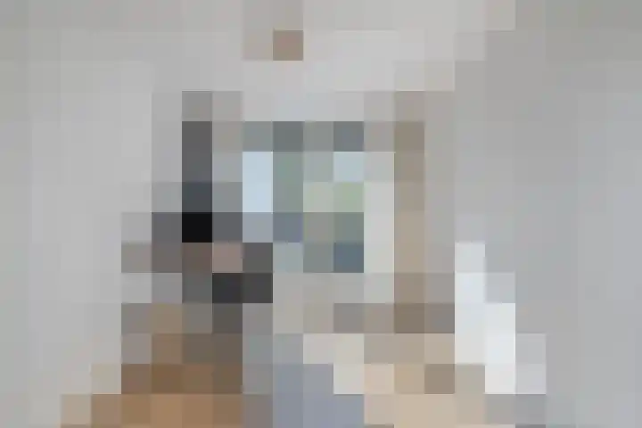 Strausslaan 76 Voorthuizen thumbnail 17