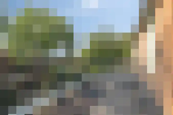 Strausslaan 76 Voorthuizen thumbnail 18