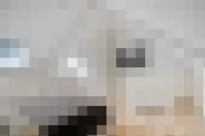 Strausslaan 76 Voorthuizen thumbnail 26