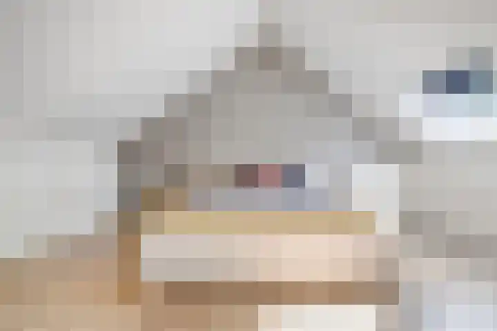 Strausslaan 76 Voorthuizen thumbnail 27
