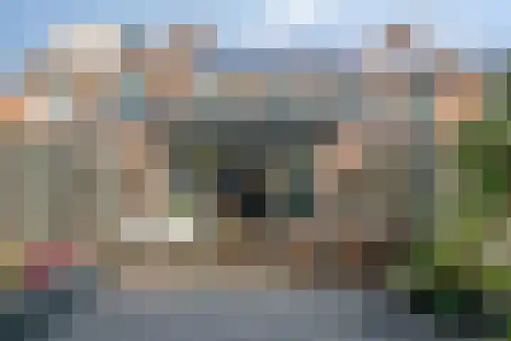 Strausslaan 76 Voorthuizen thumbnail 30