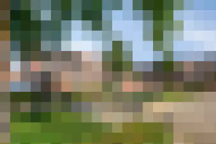 Strausslaan 76 Voorthuizen thumbnail 33