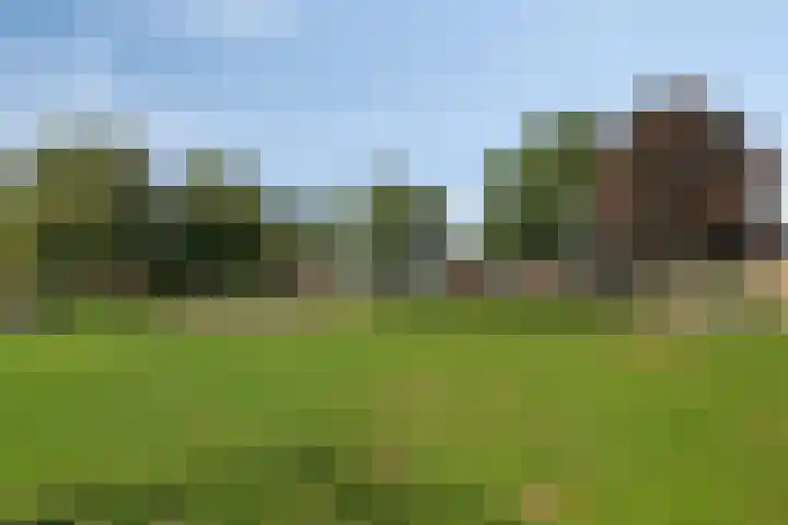 Strausslaan 76 Voorthuizen thumbnail 34