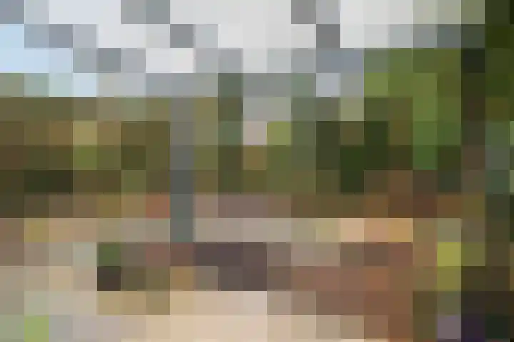 Strausslaan 8 Barendrecht thumbnail 30