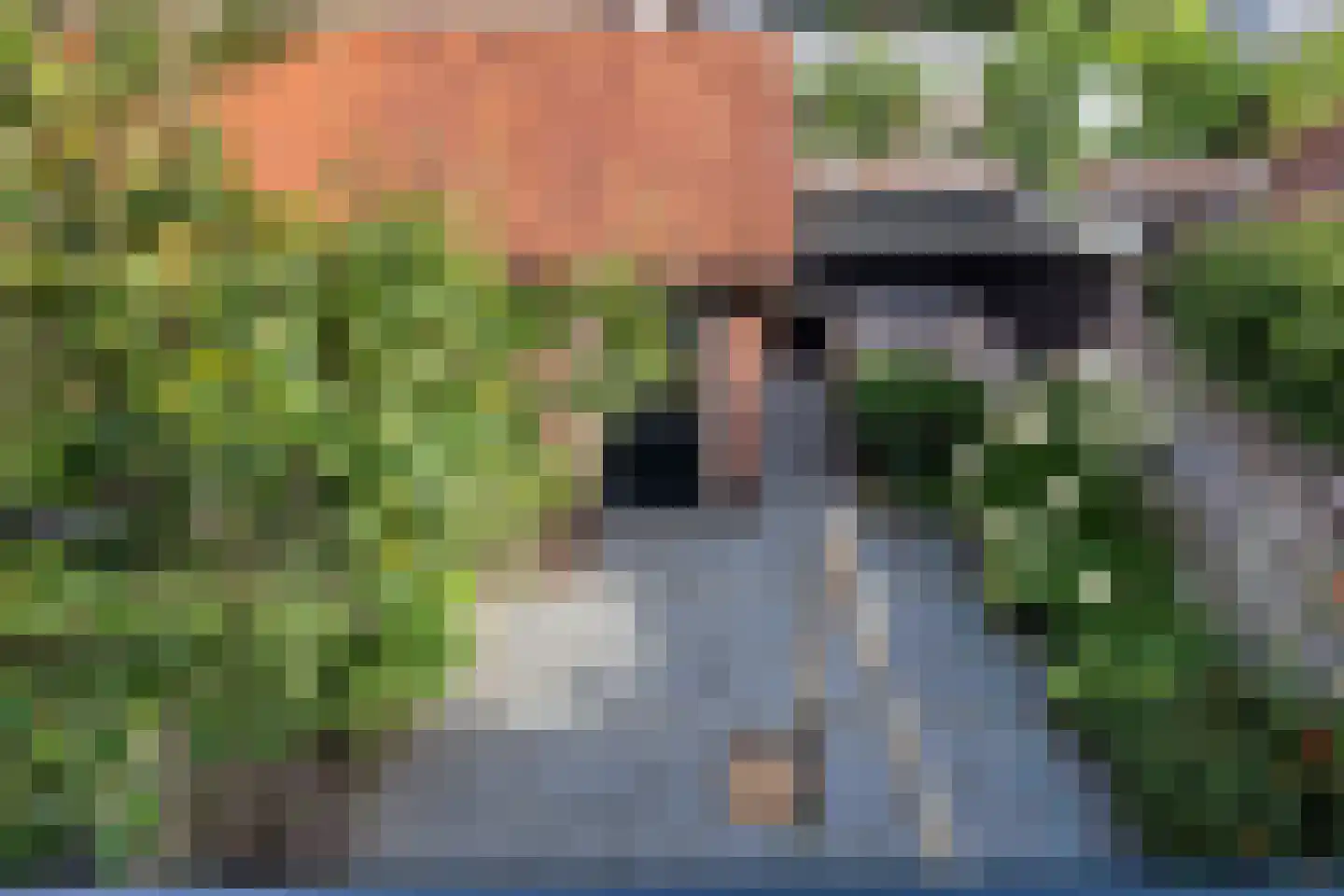 Strausslaan 81 Apeldoorn thumbnail 22