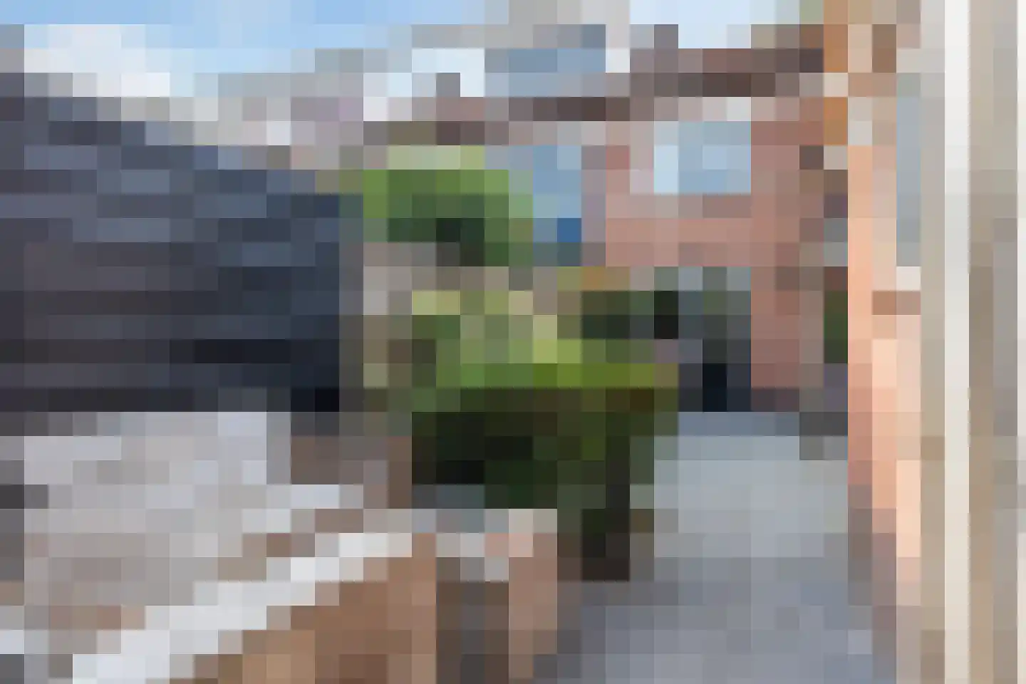 Strausslaan 81 Apeldoorn thumbnail 23