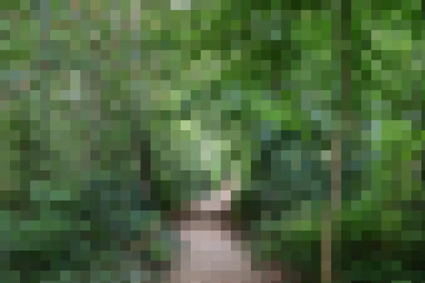 Strausslaan 81 Apeldoorn thumbnail 28