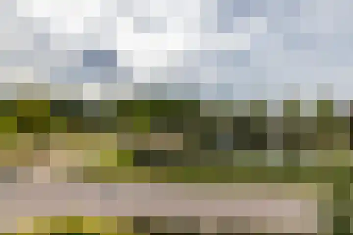 Strausslaan 88 Barendrecht thumbnail 32