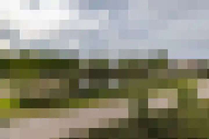 Strausslaan 88 Barendrecht thumbnail 33