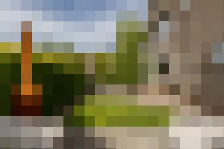 Strausslaan 88 Barendrecht thumbnail 34