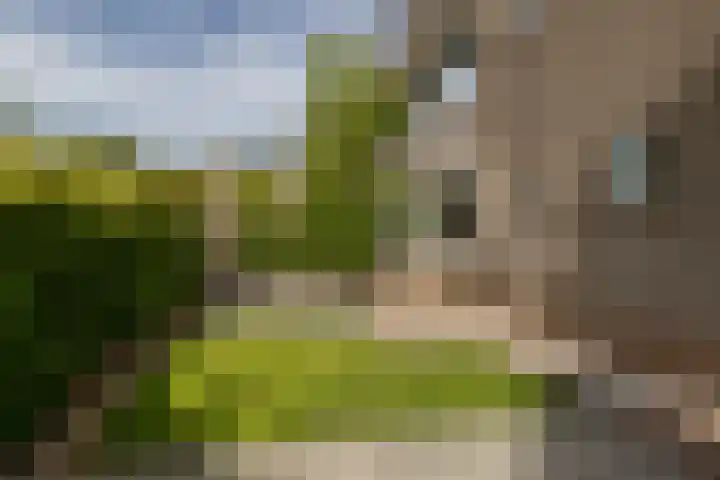 Strausslaan 88 Barendrecht thumbnail 35