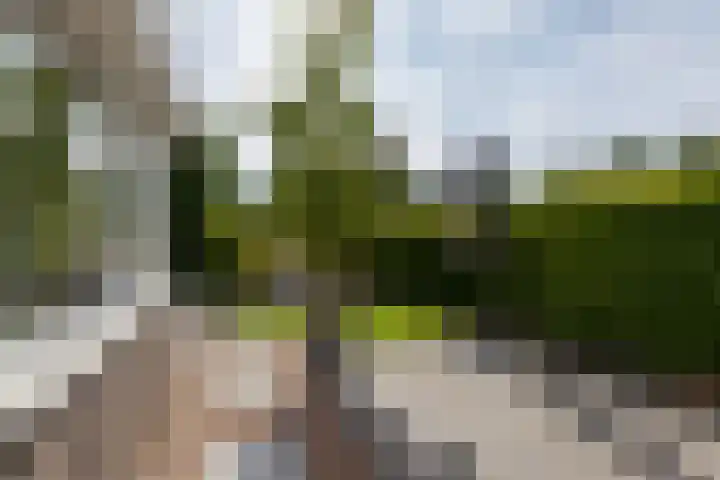 Strausslaan 88 Barendrecht thumbnail 37