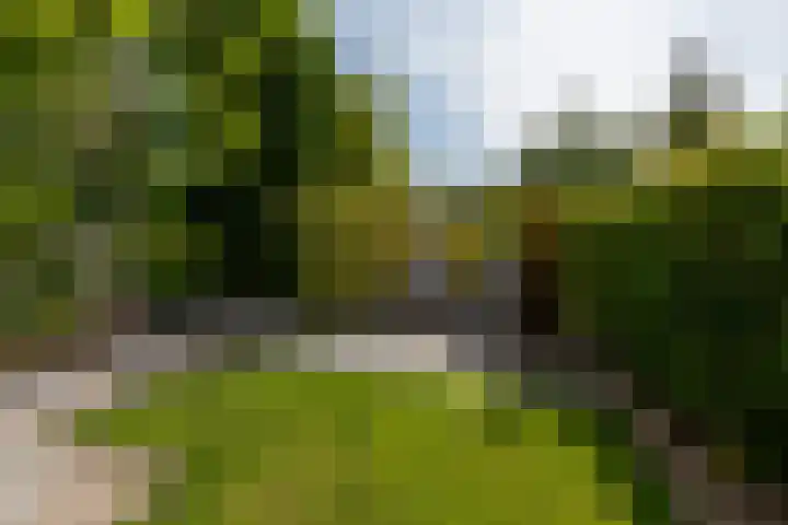 Strausslaan 88 Barendrecht thumbnail 39