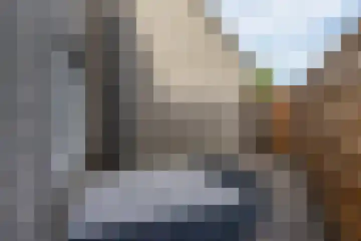 Strausslaan 88 Barendrecht thumbnail 41