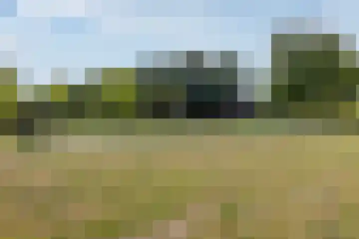 Strausslaan 88 Barendrecht thumbnail 43