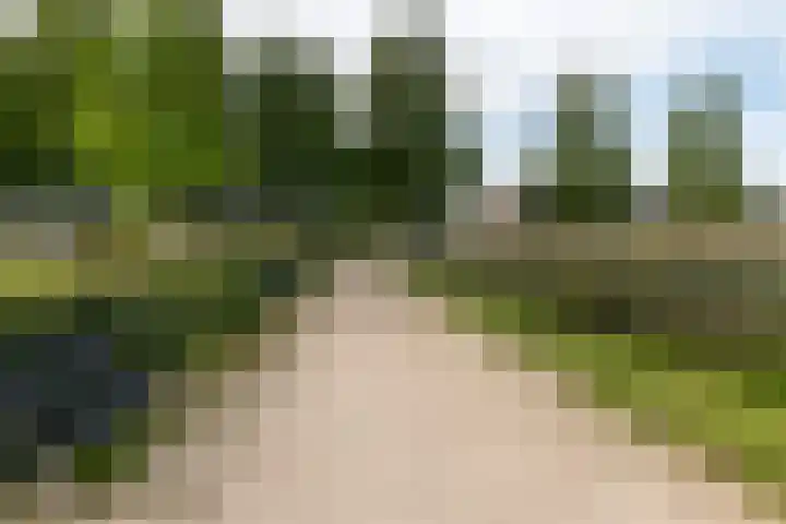Strausslaan 88 Barendrecht thumbnail 44