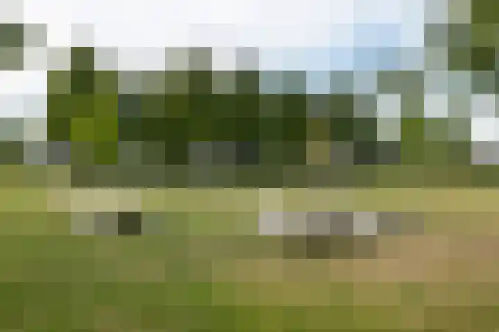 Strausslaan 88 Barendrecht thumbnail 45
