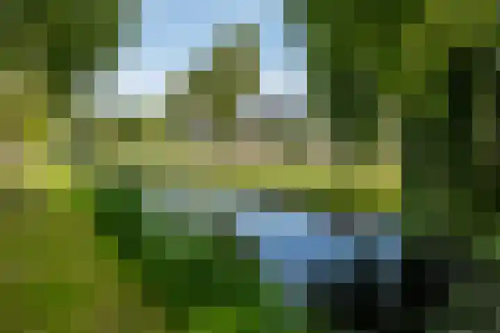 Strausslaan 88 Barendrecht thumbnail 46