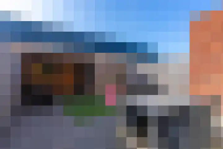 Strausspark 40 Voorhout thumbnail 25