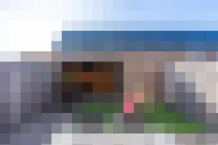 Strausspark 40 Voorhout thumbnail 26