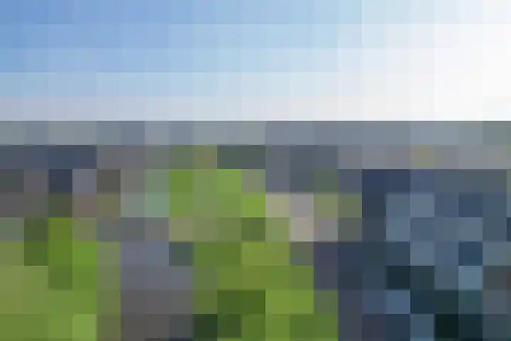 Strausspark 40 Voorhout thumbnail 35