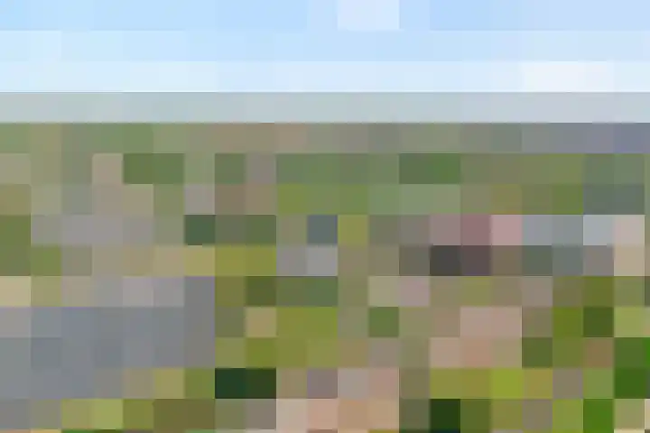 Straussplein 27 Zwolle thumbnail 21