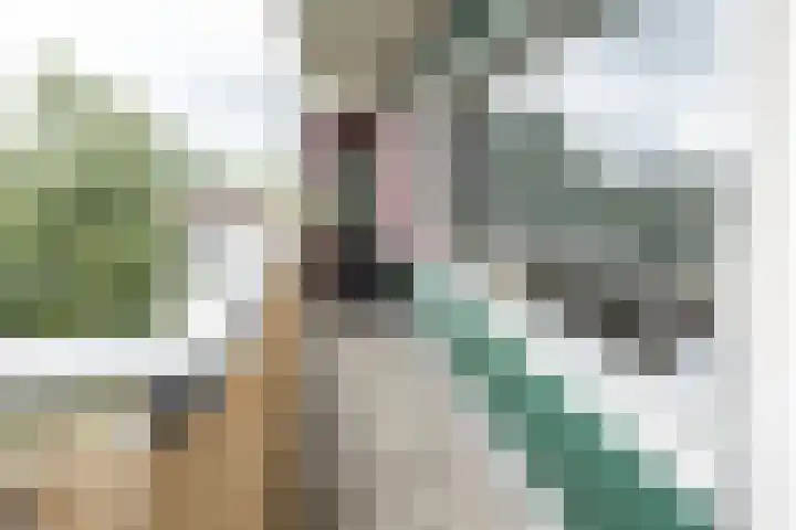 Straussplein 37 Zwolle thumbnail 10