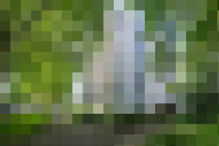 Straussplein 37 Zwolle thumbnail 18