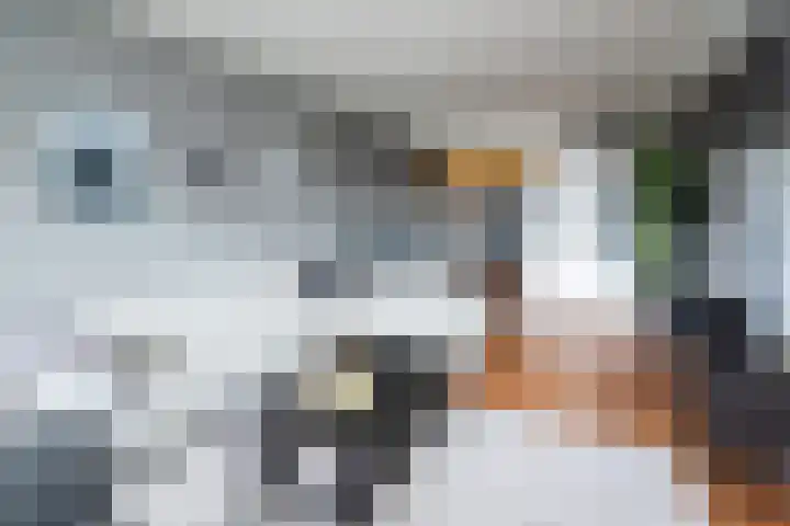 Straussplein 37 Zwolle thumbnail 4