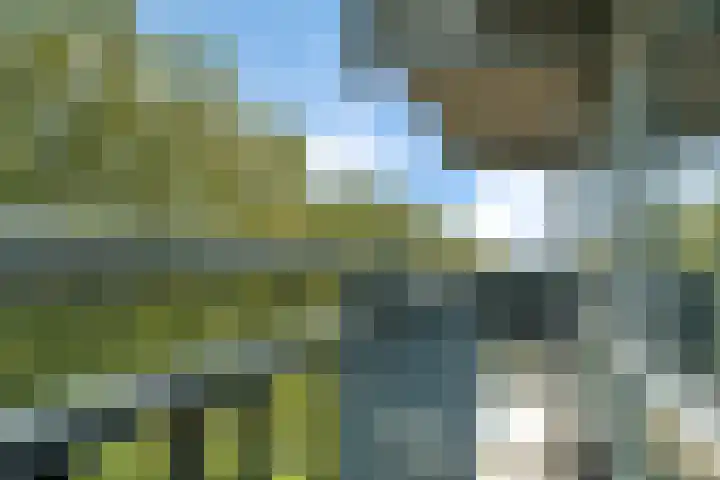 Straussplein 45 Zwolle thumbnail 14