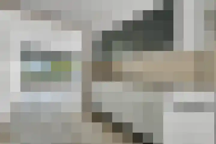 Straussplein 45 Zwolle thumbnail 17