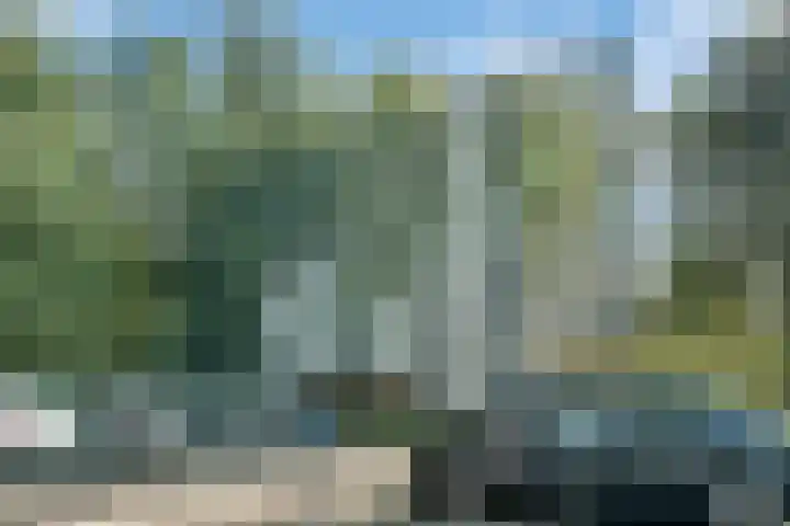 Straussplein 45 Zwolle thumbnail 24