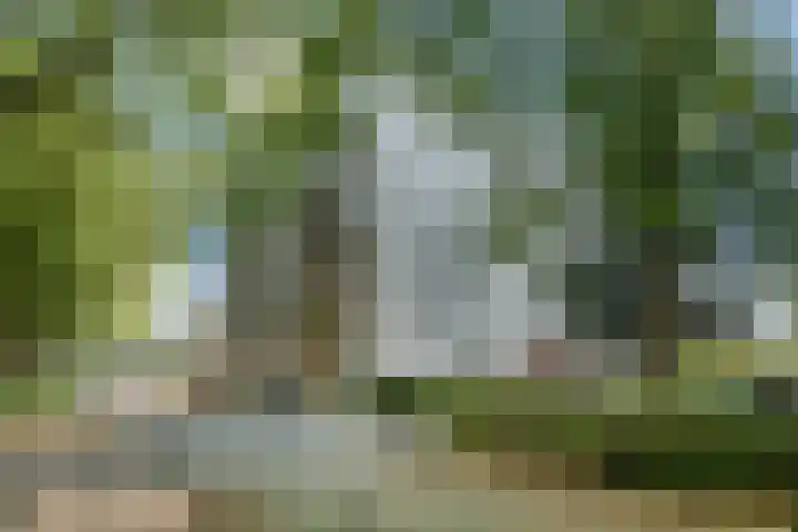 Straussplein 45 Zwolle thumbnail 31