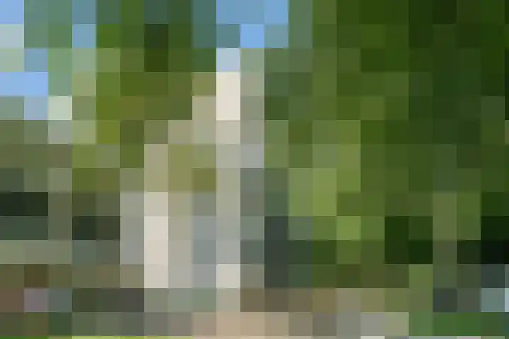 Straussplein 45 Zwolle thumbnail 32