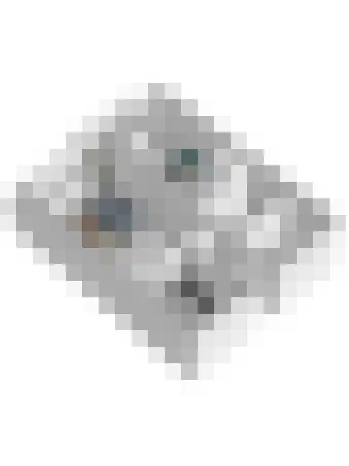 Straussplein 45 Zwolle thumbnail 35