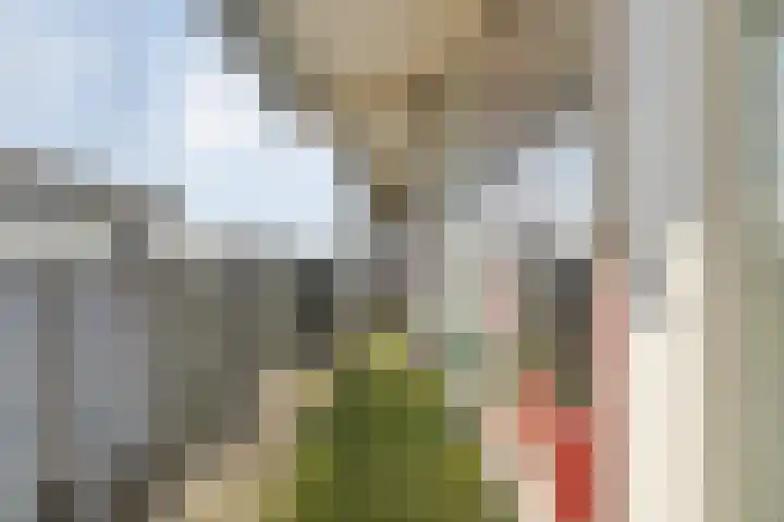Straussplein 51 Zwolle thumbnail 17