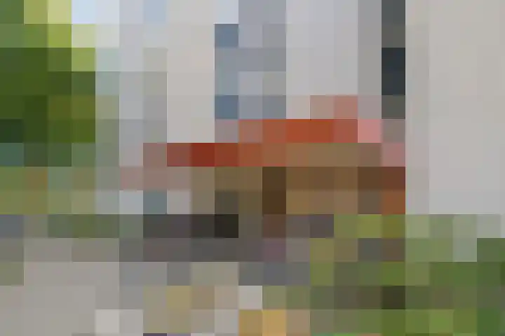 Straussplein 51 Zwolle thumbnail 24
