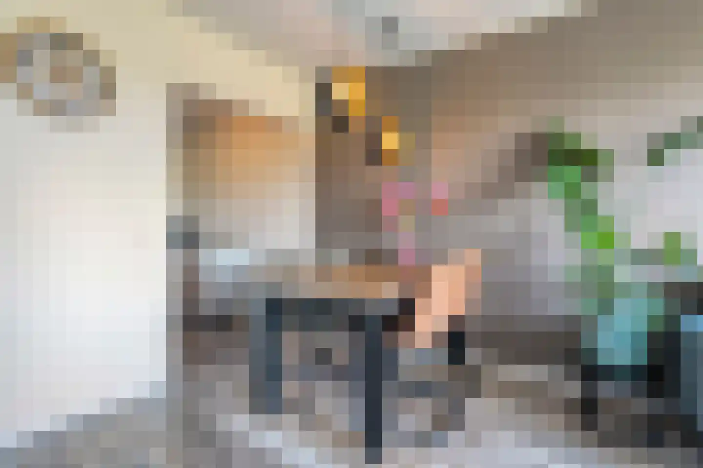 Straussplein 52 Zwolle thumbnail 11